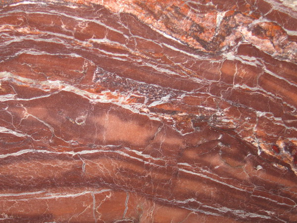 Sequoia Petrifyed Wood